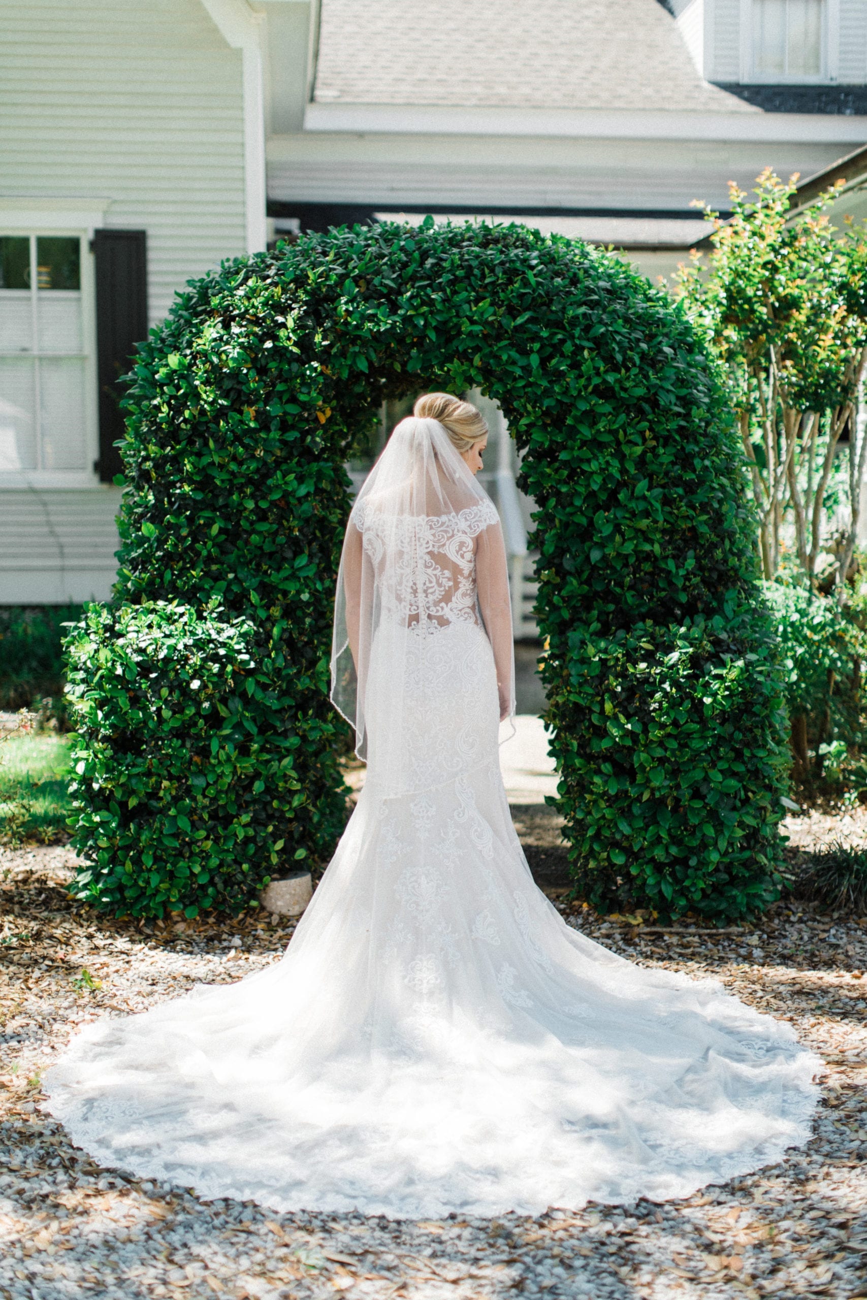 bridal portrait of wedding veil